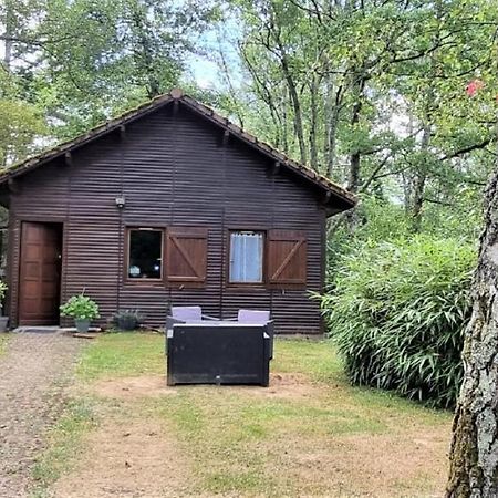 Weir Cottage Balledent Esterno foto